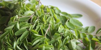 Loại rau phá hủy hơn 90% tế bào ung thư mà người Việt cứ ngỡ là rau dại mọc đầy đường không ăn