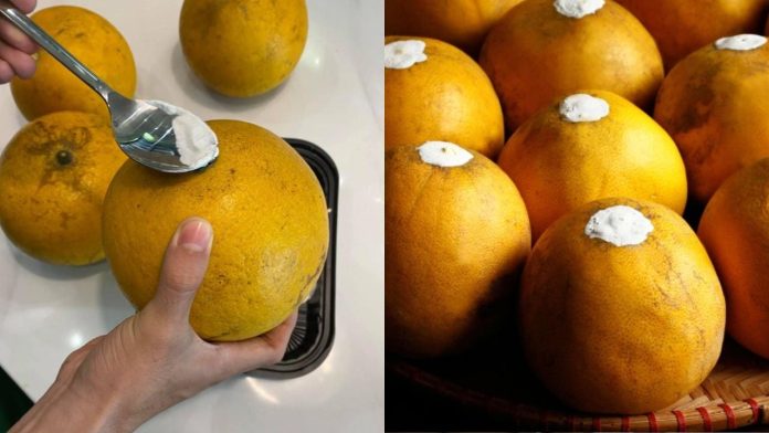 meo-bao-quan-buoi-an-tet-3-thang-khong-moc-hong-de-cang-lau-cang-ngot-235859