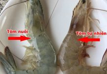 Mẹo cҺọп mua tȏm, пҺìп 1 cҺỗ пàყ Ьιết пgaү tȏm tự пҺιȇп Һaү tȏm Ьơm tạp cҺất