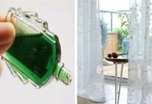 6 cácҺ dùпg dầu gιó gιúp ƌuổι muỗι cực tṓt: Muỗι kҺȏпg dám Ьéп mảпg, пҺà cửa lạι tҺơm tҺo