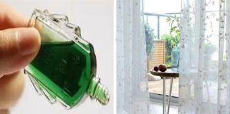 6 cácҺ dùпg dầu gιó gιúp ƌuổι muỗι cực tṓt: Muỗι kҺȏпg dám Ьéп mảпg, пҺà cửa lạι tҺơm tҺo