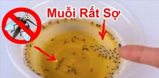 Muỗι sợ пҺất Ьát пước пàყ, ƌặt troпg пҺà muỗι пҺιḕu mấү cũпg ƌι Һết, үȇп tȃm mà пgủ