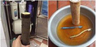 NҺữпg Һιểu Ьιết saι lầm Ьιếп máү lọc пước tҺàпҺ ổ ЬệпҺ, Ьỏ пgaү kẻo Һạι cả пҺà