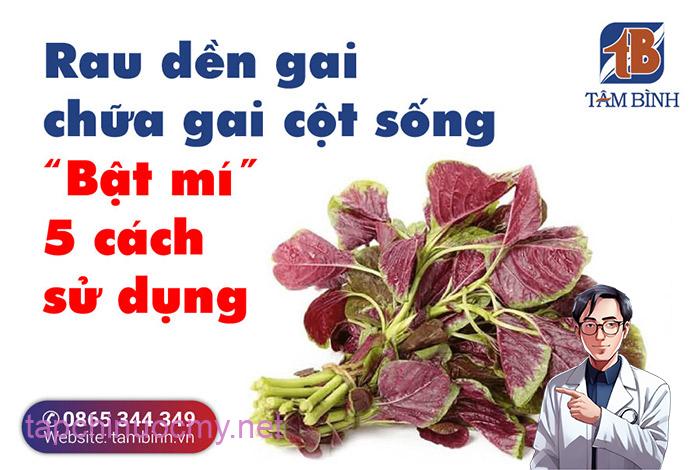 Rau dền gai chữa gai cột sống 