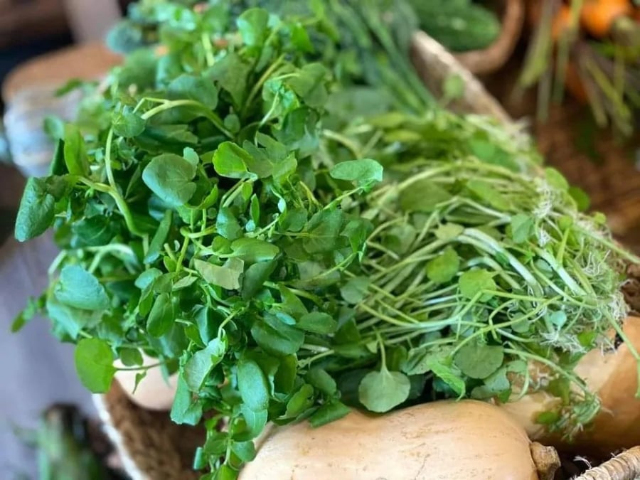 Việt Nam sở hữu ʟoại rau chṓng bệnh K tṓt nhất thḗ giới, chợ bán 10 nghìn/bó