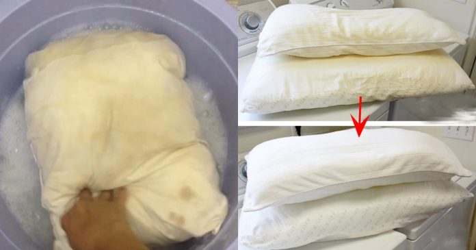 ruot-goi-nga-vang-dem-ngam-voi-thu-nay-ban-may-cung-sach-tinh-tuom-105250