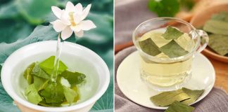 4 loại lá tốt cho người bị gan nhiễm mỡ, dùng để đun nước uống giúp ‘thổi bay’ mỡ