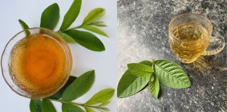 Cách uống nước lá ổi giúp eo thon, tiêu mỡ bụng, giảm cân