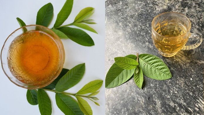 cach-uong-nuoc-la-oi-giup-eo-thon-tieu-mo-bung-giam-can-230856