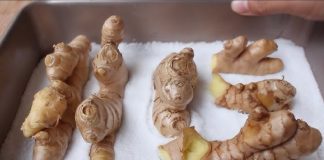 Mẹo bảo quản gừng không cần tủ lạnh, để cả năm không sợ mọc mầm, thối hỏng