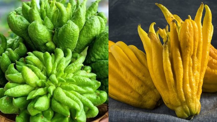 quy-tac-don-gian-giup-ban-chon-duoc-phat-thu-dep-ruoc-loc-may-man-ca-nam-145638