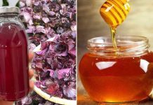 Uống nước tía tô pha thêm mật ong, nhận được lợi ích bất ngờ, nhiều người không biết