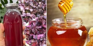 Uống nước tía tô pha thêm mật ong, nhận được lợi ích bất ngờ, nhiều người không biết