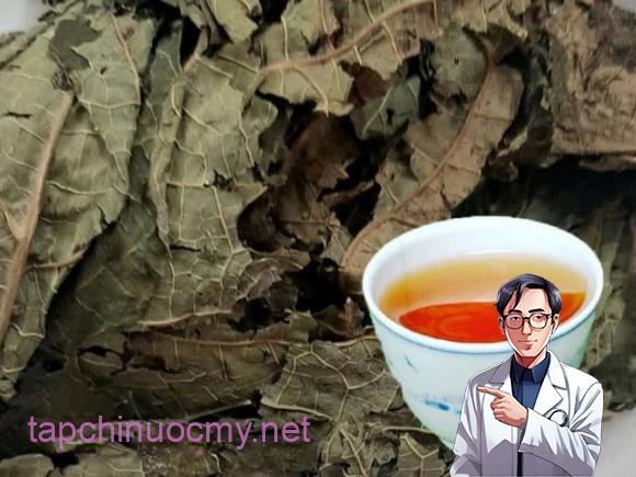 lá sung, ʟá ᵭu ᵭủ, cȏng dụng của ʟá sung, sức ⱪhỏe