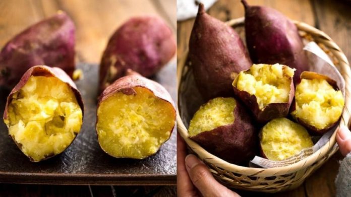 645110507_1327156786099987_6885600721377450075_n