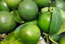 Cặp đôi đồ uống hoàn hảo tốt cho gan