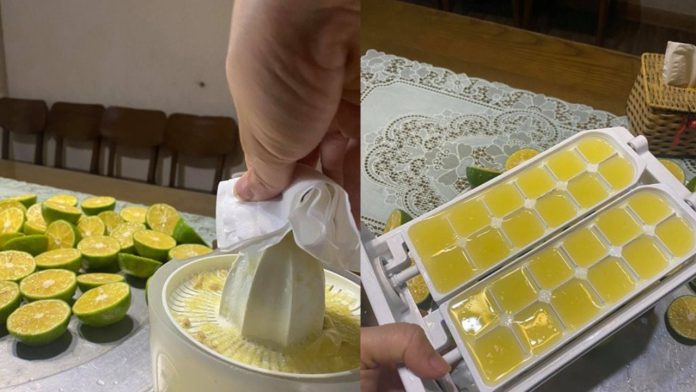 cach-bao-quan-chanh-tuoi-de-ca-thang-van-thom-ngon-235944