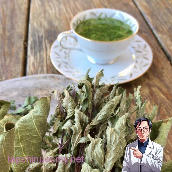 lá sung, ʟá ᵭu ᵭủ, cȏng dụng của ʟá sung, sức ⱪhỏe