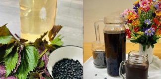 Lý do nên uống nước tía tô đậu đen