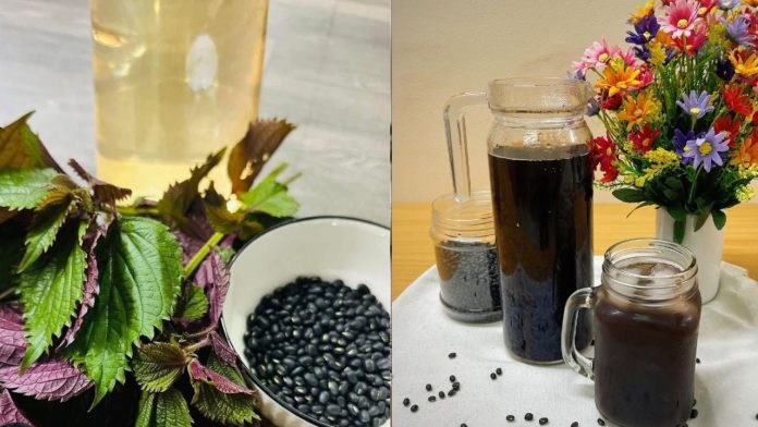 ly-do-nen-uong-nuoc-tia-to-dau-den-230155