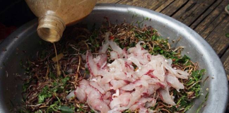 2 món ăn người Việt thích mê dễ là “ổ ký sinh trùng”, nhất là cái số 1