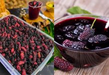 Mẹo ngâm dâu tằm để lâu không mốc hỏng, lên men