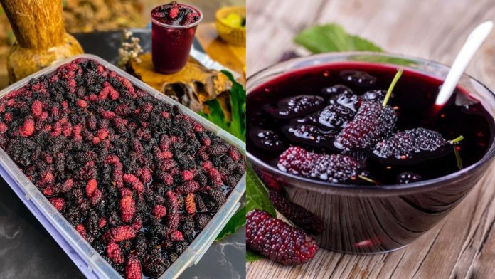 659102703_1353172020165130_9028434341280109182_n