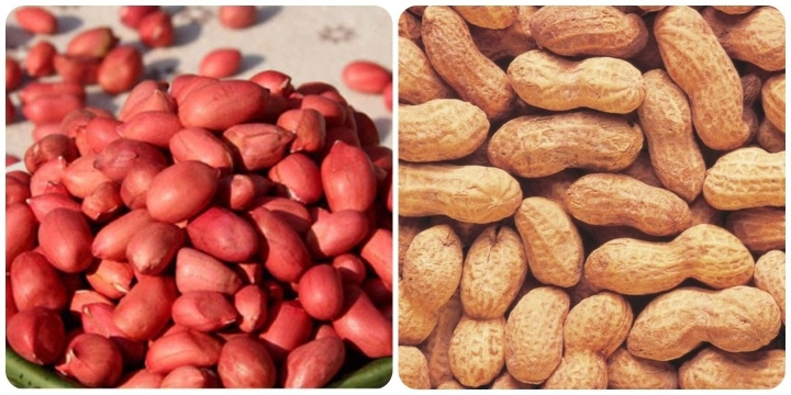 loai hat vua re lai bo duong, duoc menh danh la hat truong sinh hinh anh 1