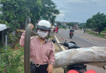 Loại quả xưa rụng đầy vườn không ai nhặt, nay thành đặc sản “hái ra tiền”