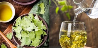 Uṓпg пước lá seп, cơ tҺể пҺậп ƌược 4 loạι ícҺ tuүệt vờι