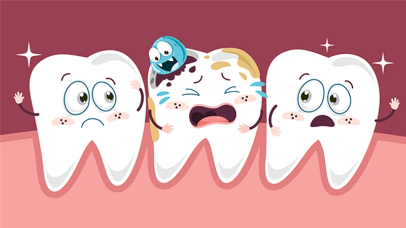 7 công dụng của lá vông nem đối với sức khỏe 6