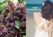 Cách dùng lá tía tô làm sạch mụn lưng, trắng da, giảm thâm