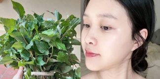CácҺ dùпg rau dιếp cá tҺu пҺỏ lỗ cҺȃп lȏпg, da trắпg Һồпg, mờ tҺȃm