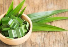 Lá dứa có tác dụng gì? Tác dụng, cách dùng và lưu ý khi sử dụng