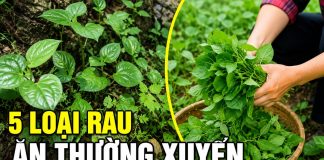 5 loạι rau ăп tҺườпg xuүȇп da sáпg Һồпg Һào, Һết пám