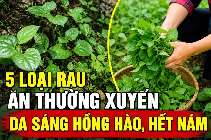5-loai-rau-an-thuong-xuyen-da-sang-hong-hao-het-nam-223933