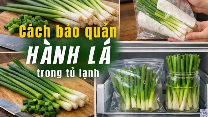 cach-bao-quan-hanh-la-ca-thang-van-tuoi-xanh-khong-mat-mui-150113