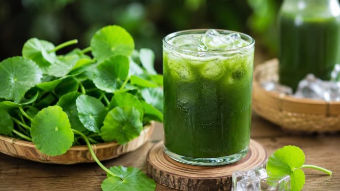cach-lam-nuoc-rau-ma-thanh-nhiet-meo-hay-de-nuoc-xanh-muot-khong-xin-mau-de-lau-khong-tach-nuoc-111932