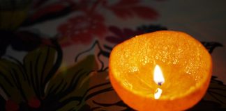 Chỉ vài miếng vỏ quýt làm theo cách này, nhà bạn sẽ không có con muỗi nào dám bén mảng