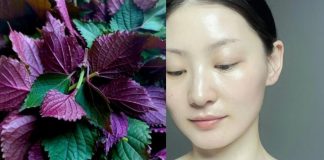 Cách rửa mặt bằng lá tía tô giúp da trắng mịn, mờ thâm nám